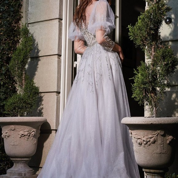 Cinderella Divine: The Enchanting Fitted Beaded Gown for Red Carpet Glamour